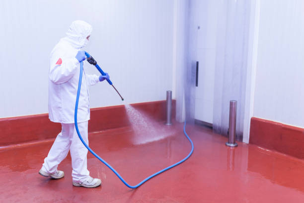 Best Spring Cleaning  in Mcelhattan, PA